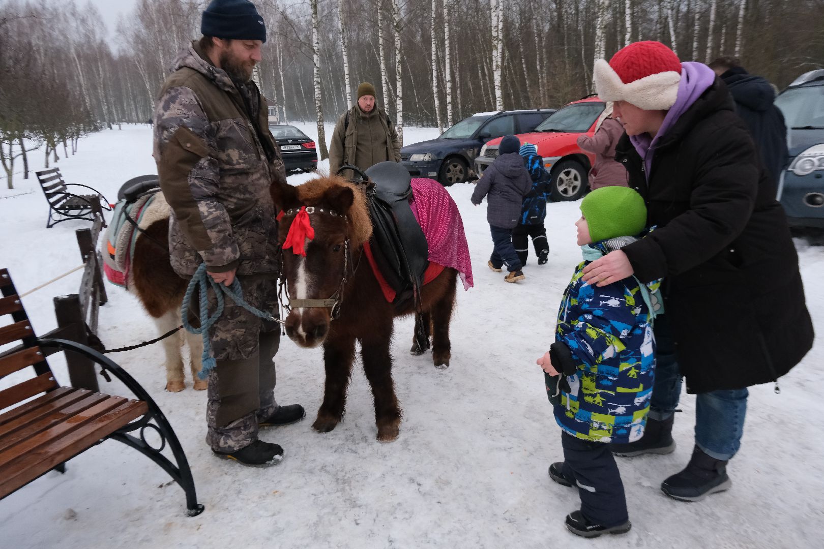 пущино, серпухов, особенные дети, лошади, терапия,