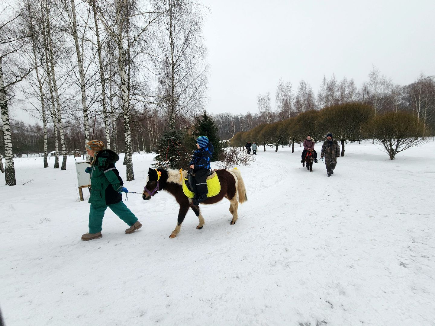 пущино, серпухов, особенные дети, лошади, терапия,