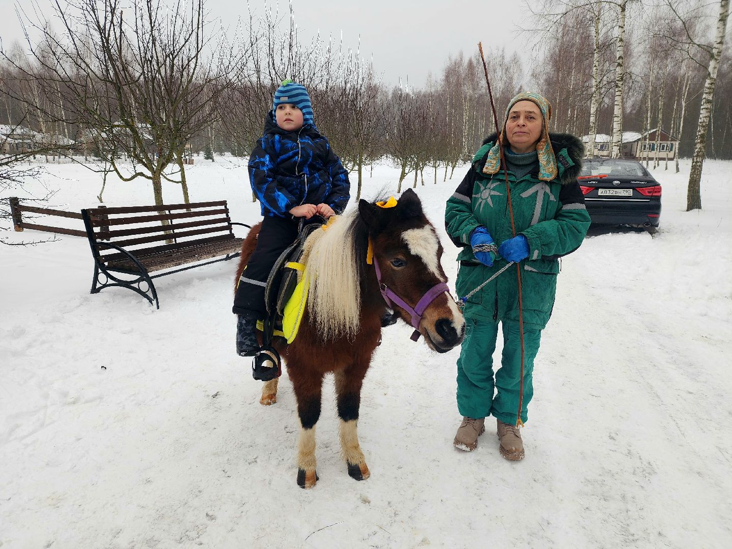пущино, серпухов, особенные дети, лошади, терапия,