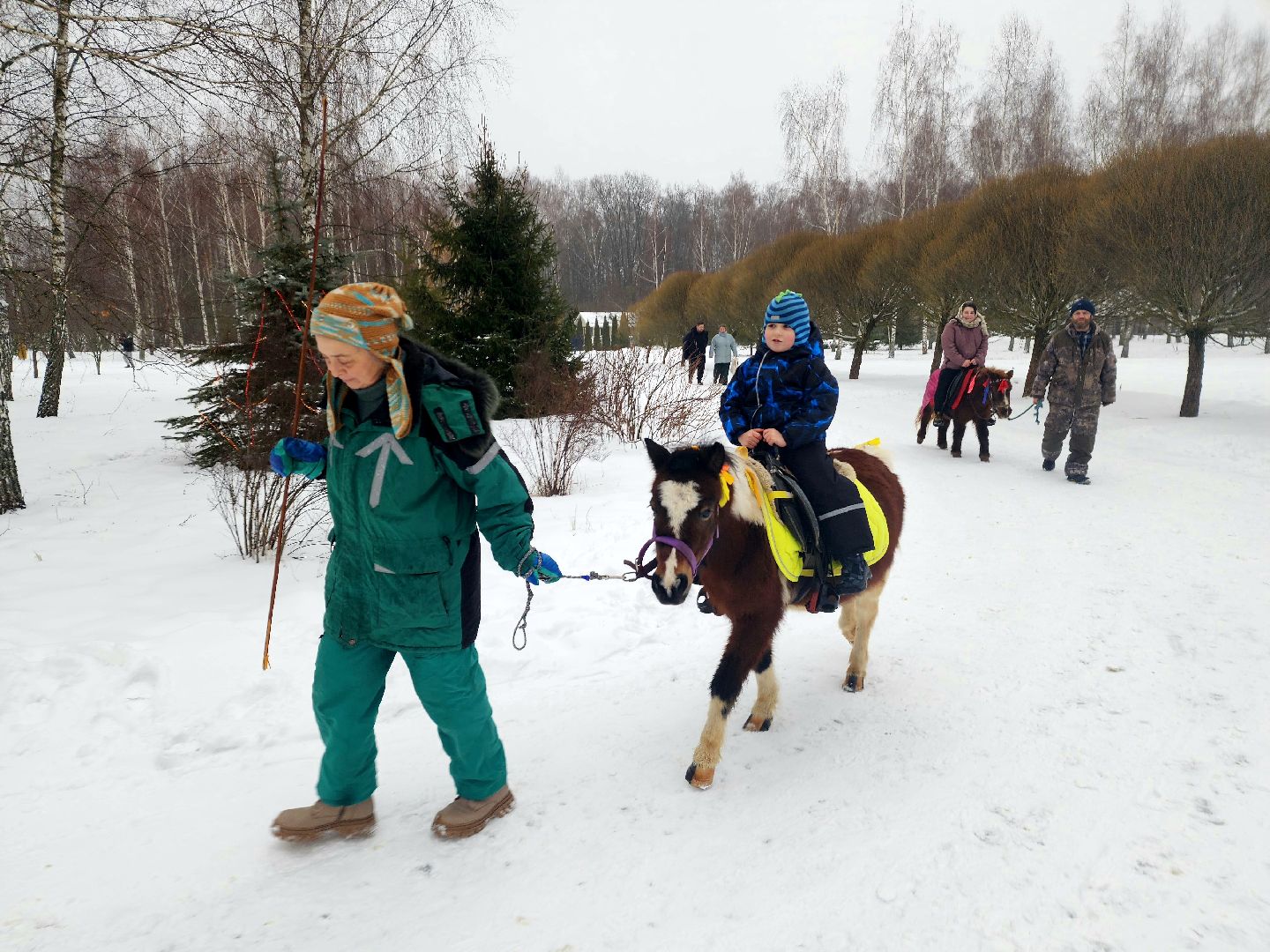 пущино, серпухов, особенные дети, лошади, терапия,