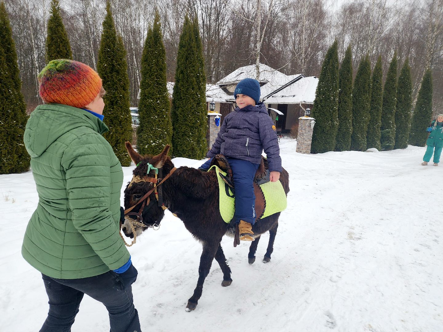 пущино, серпухов, особенные дети, лошади, терапия,