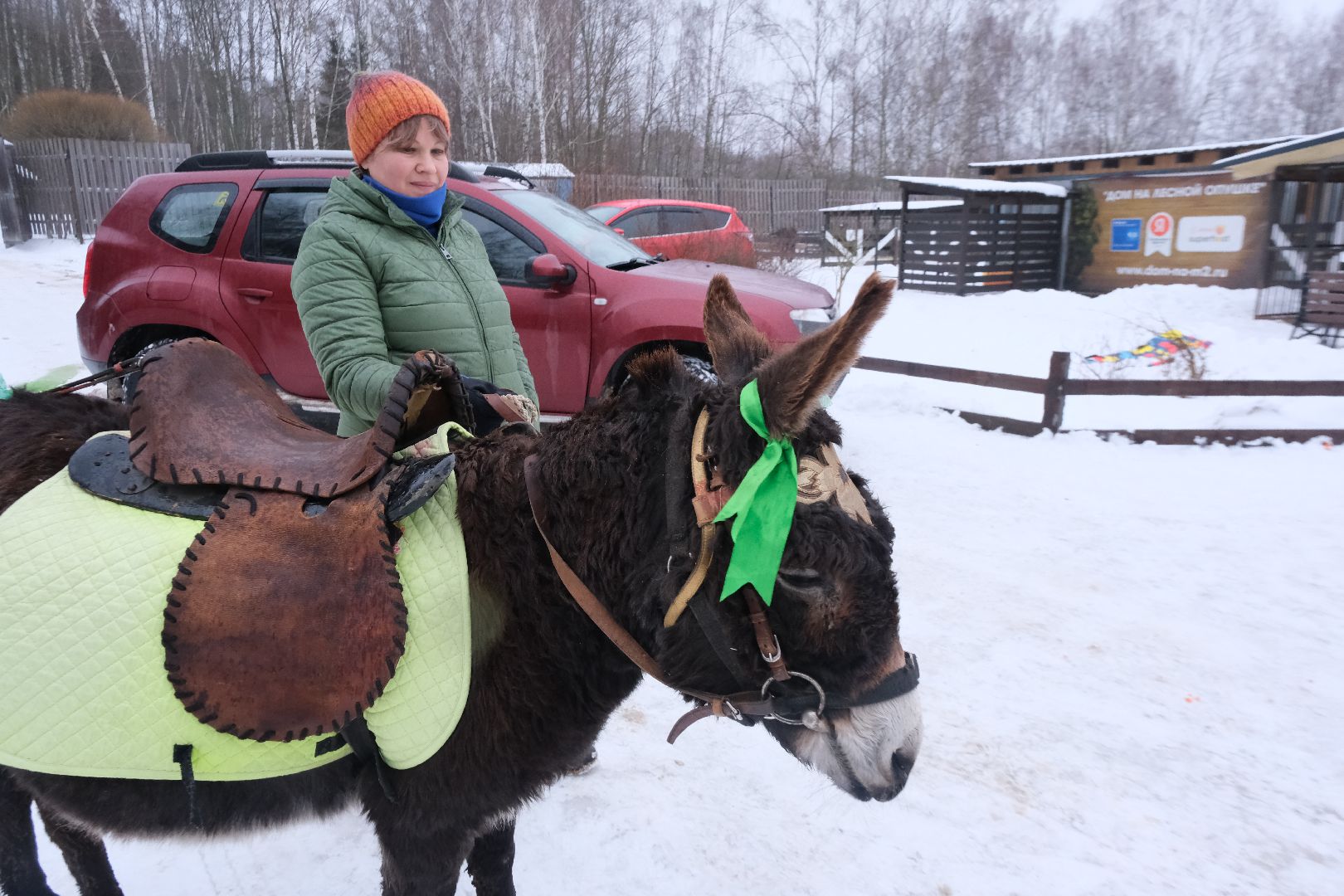 пущино, серпухов, особенные дети, лошади, терапия,