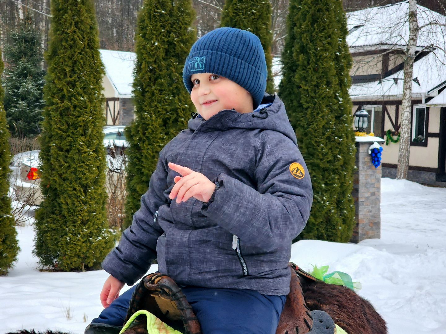 пущино, серпухов, особенные дети, лошади, терапия,