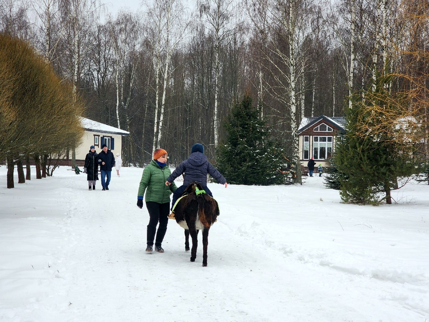 пущино, серпухов, особенные дети, лошади, терапия,