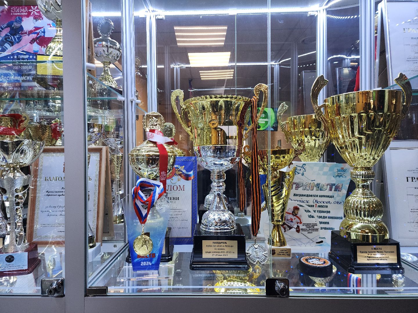 Зарайск, Ледовый дворец, Каток,