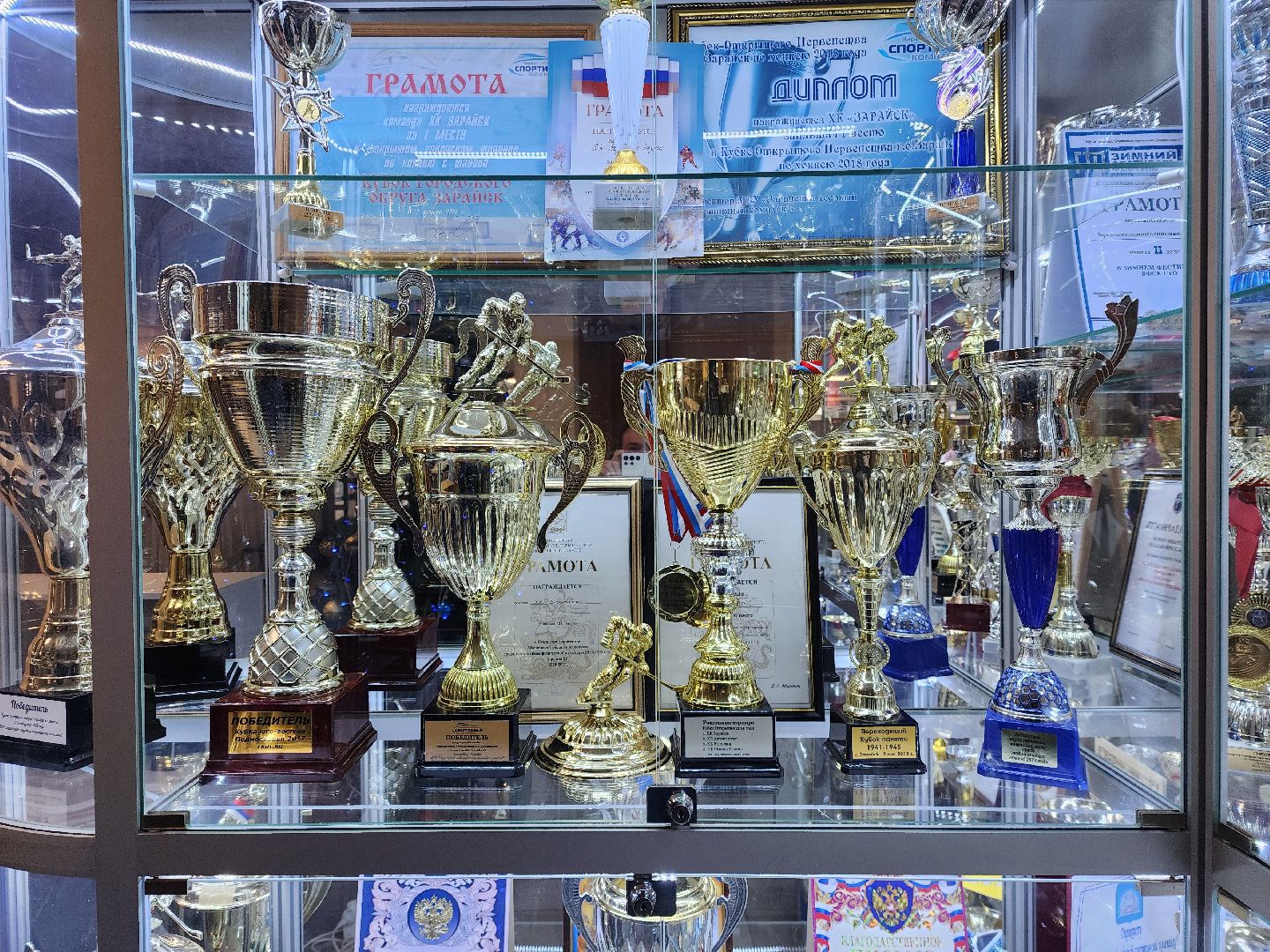 Зарайск, Ледовый дворец, Каток,