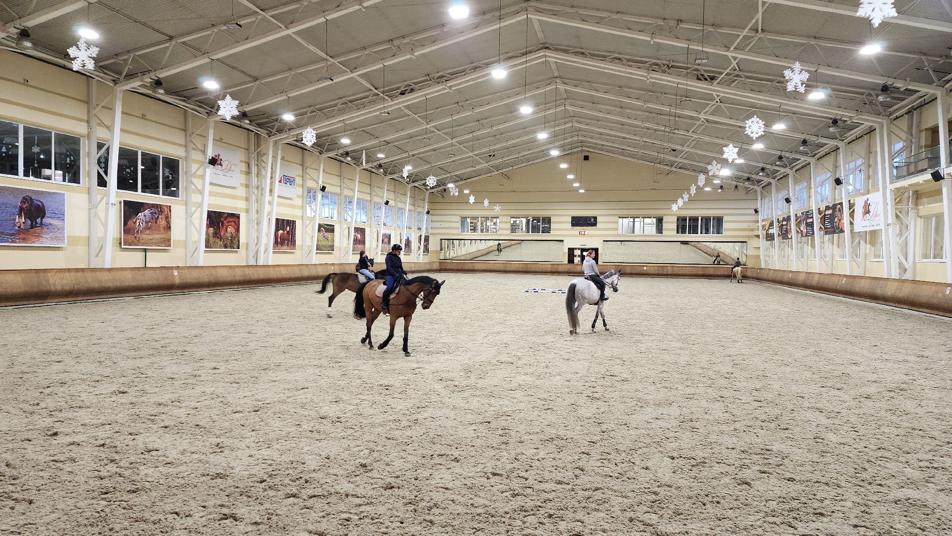 истра, конный клуб, конный спорт, вертикалки,