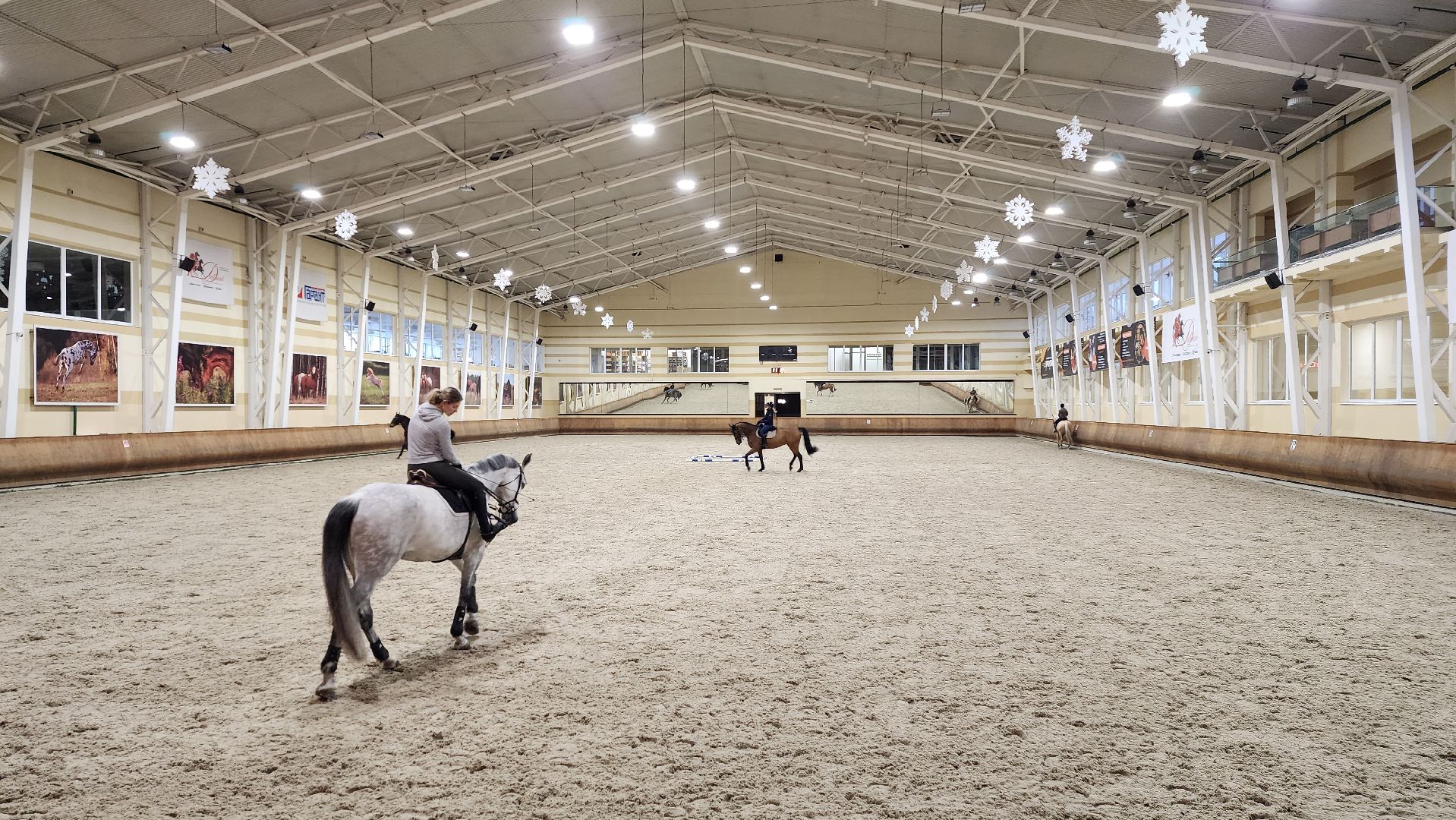 истра, конный клуб, конный спорт, вертикалки,