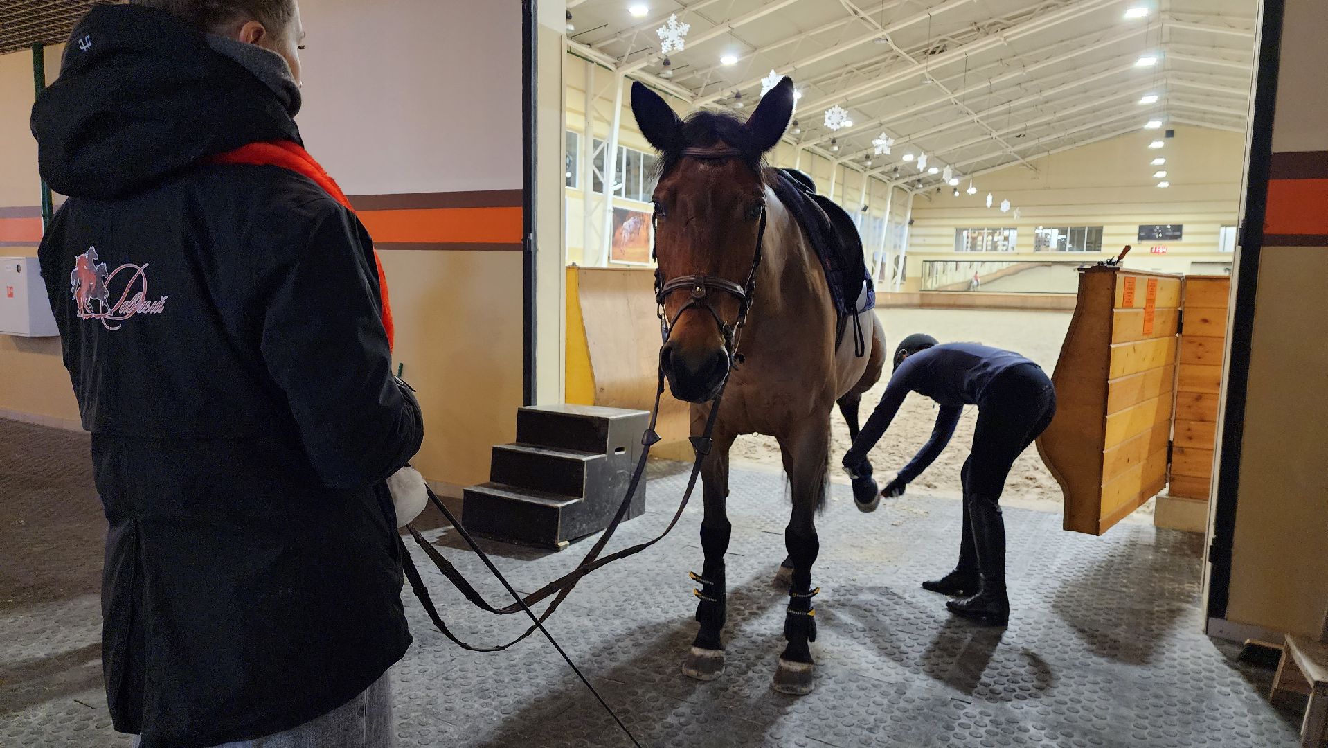 истра, конный клуб, конный спорт, вертикалки,