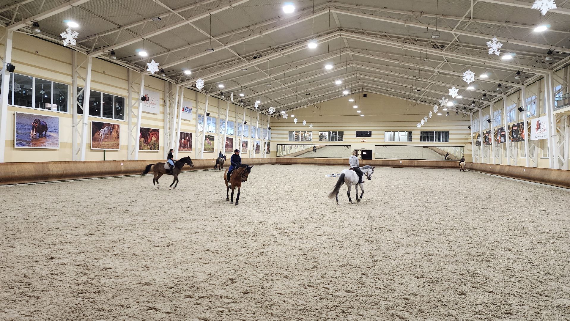 истра, конный клуб, конный спорт, вертикалки,