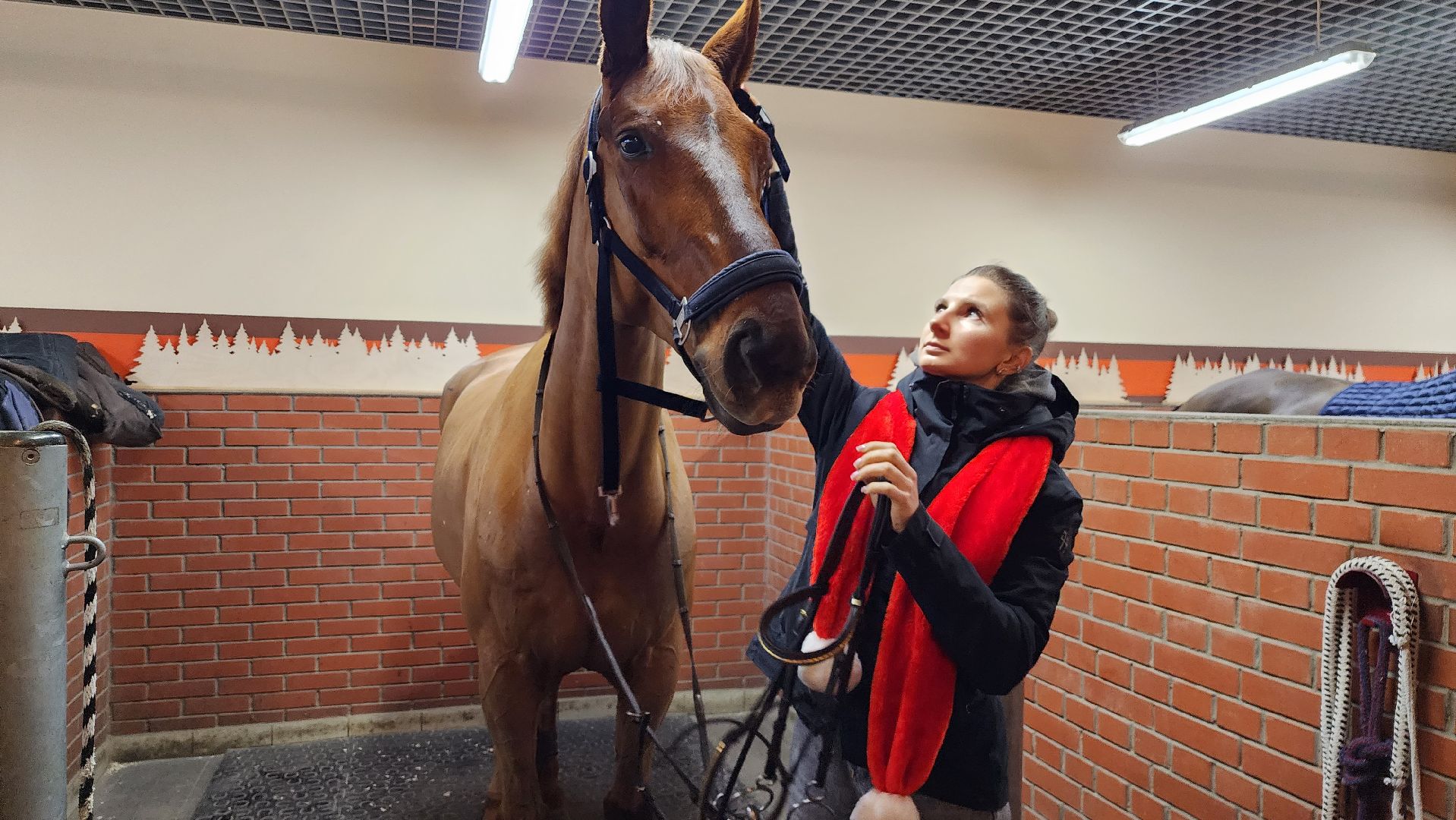 истра, конный клуб, конный спорт, вертикалки,