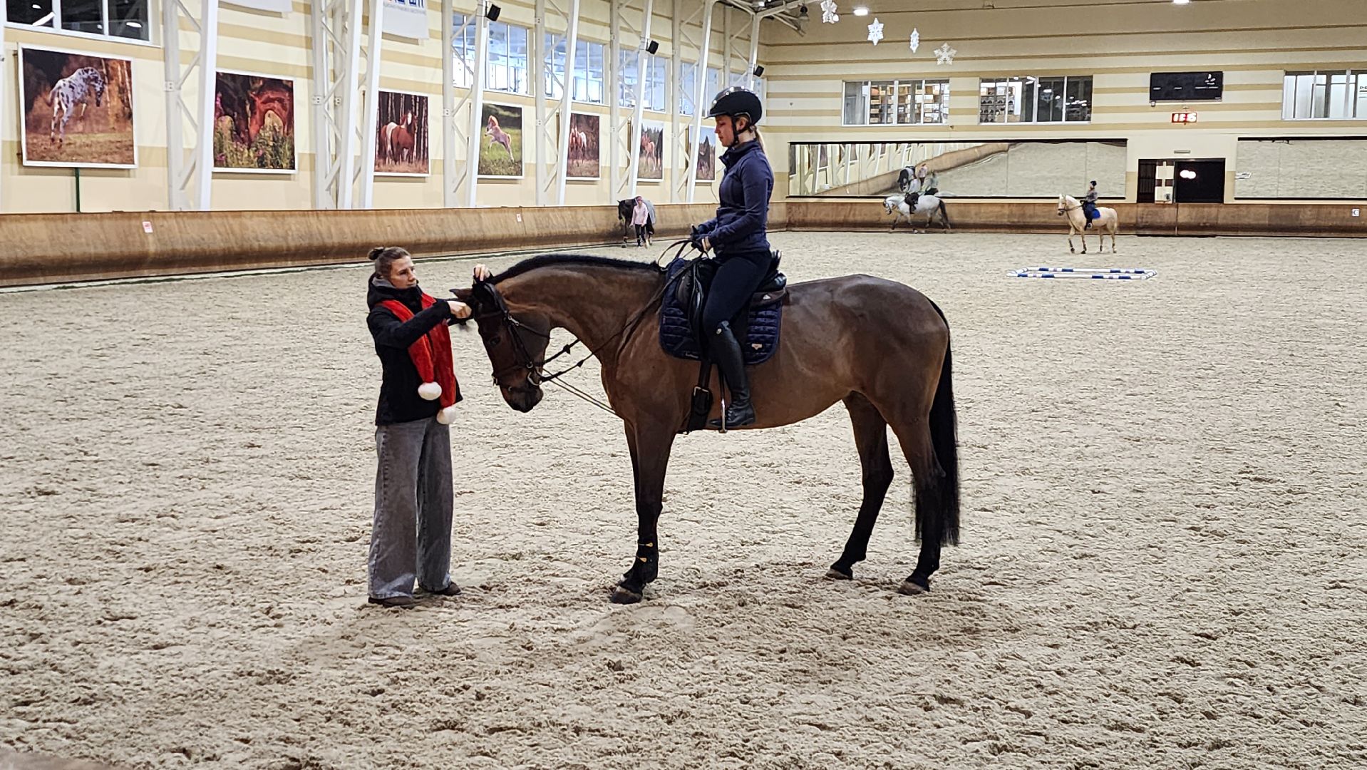 истра, конный клуб, конный спорт, вертикалки,