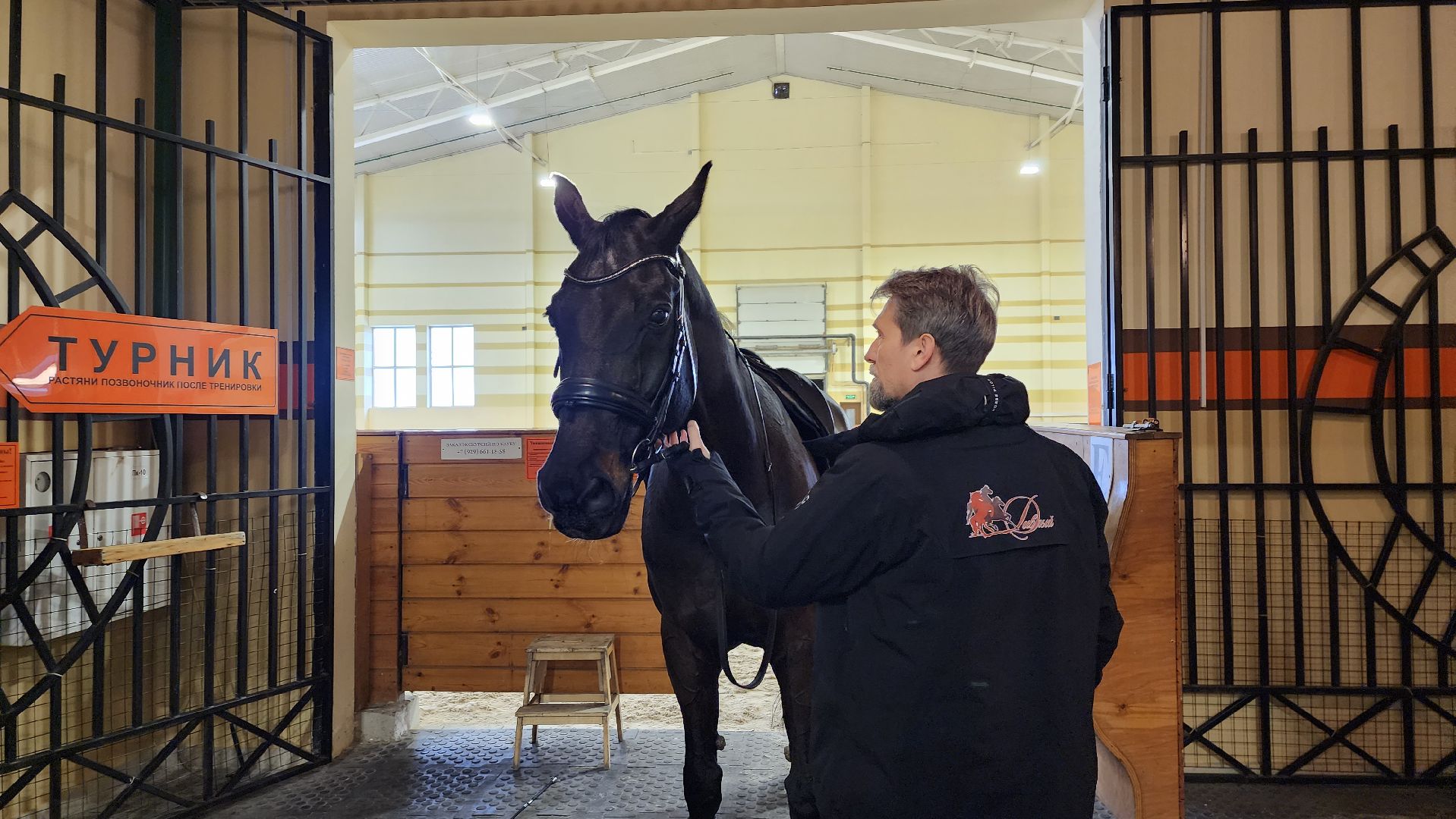 истра, конный клуб, конный спорт, вертикалки,