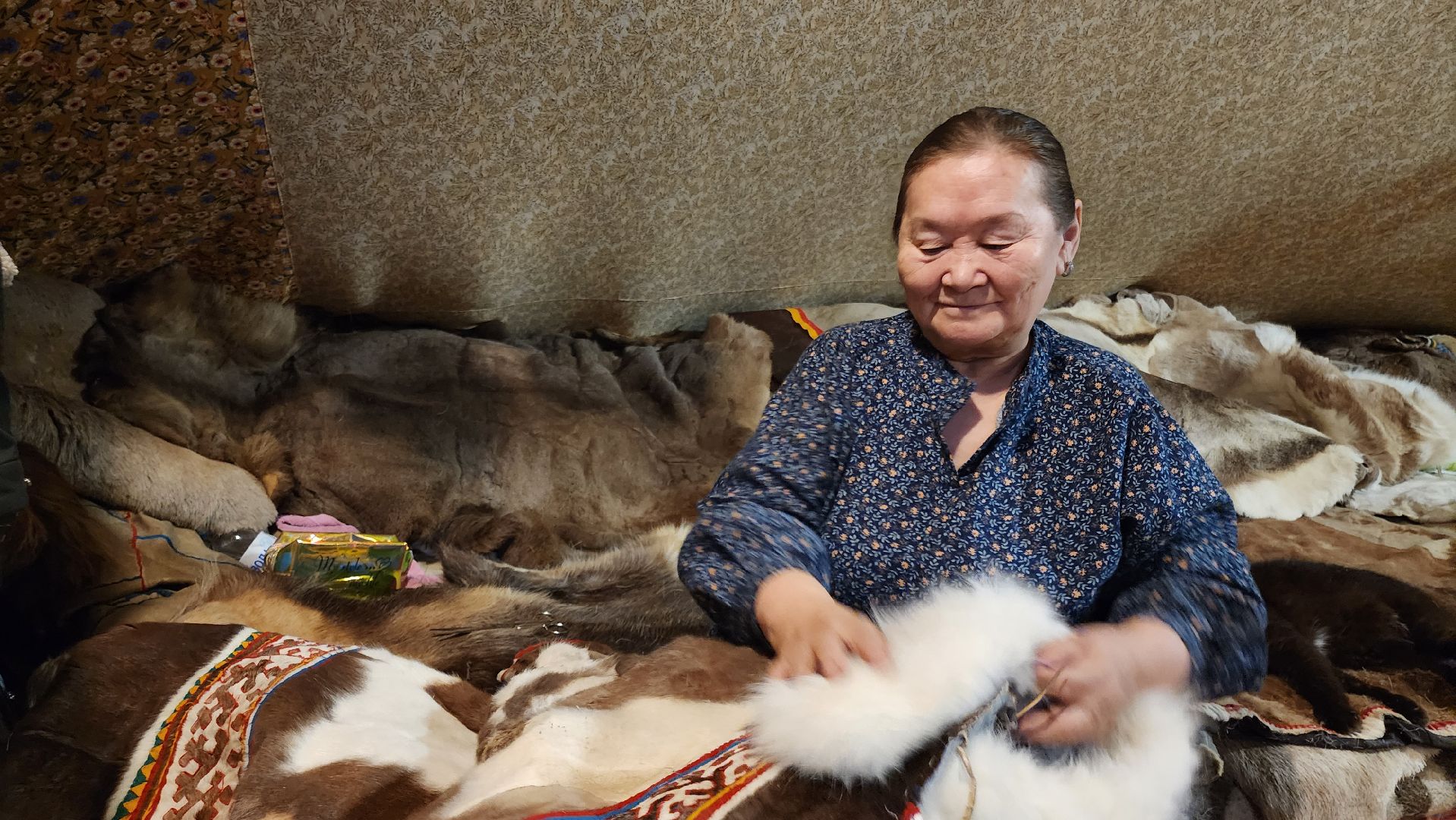 кашира, новогодние каникулы, зоостудия ковчег, животные актёры, фестиваль севера,