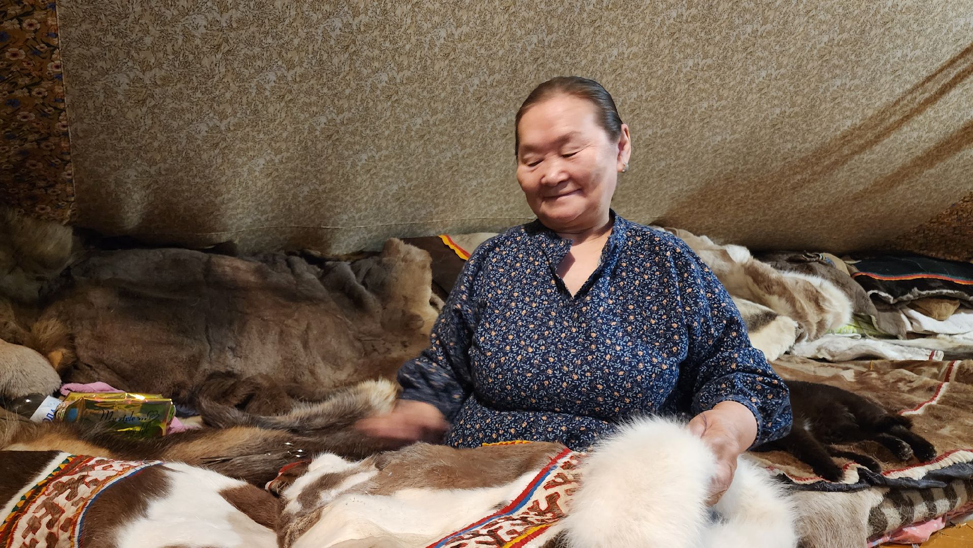 кашира, новогодние каникулы, зоостудия ковчег, животные актёры, фестиваль севера,