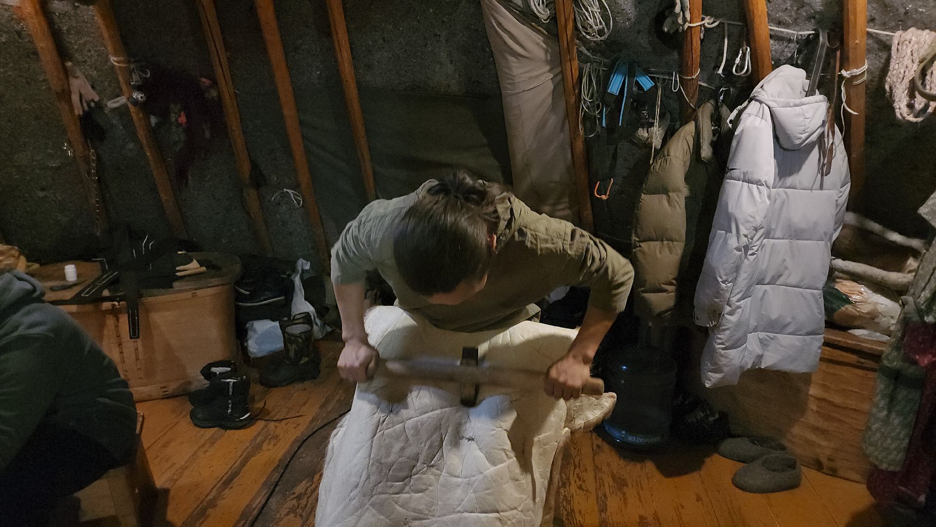 кашира, новогодние каникулы, зоостудия ковчег, животные актёры, фестиваль севера,