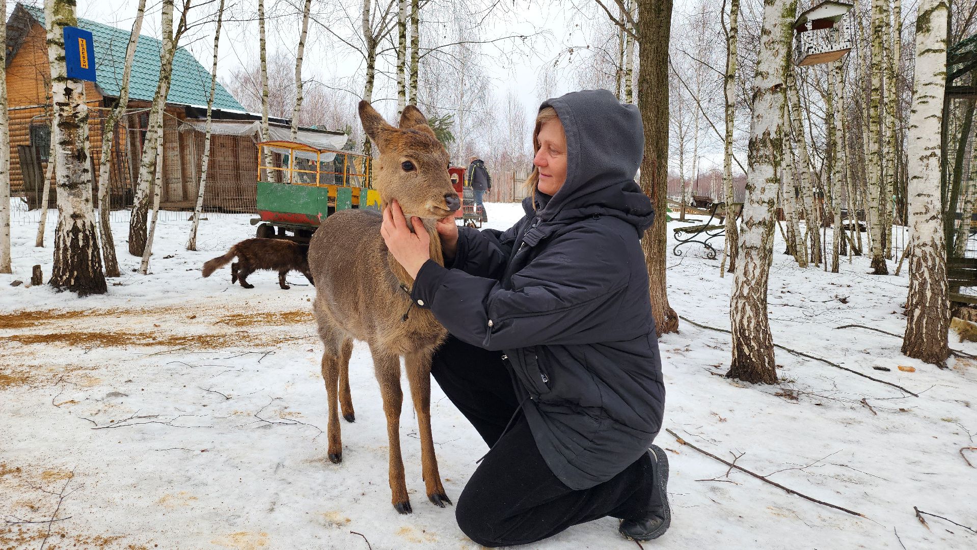 кашира, новогодние каникулы, зоостудия ковчег, животные актёры, фестиваль севера,