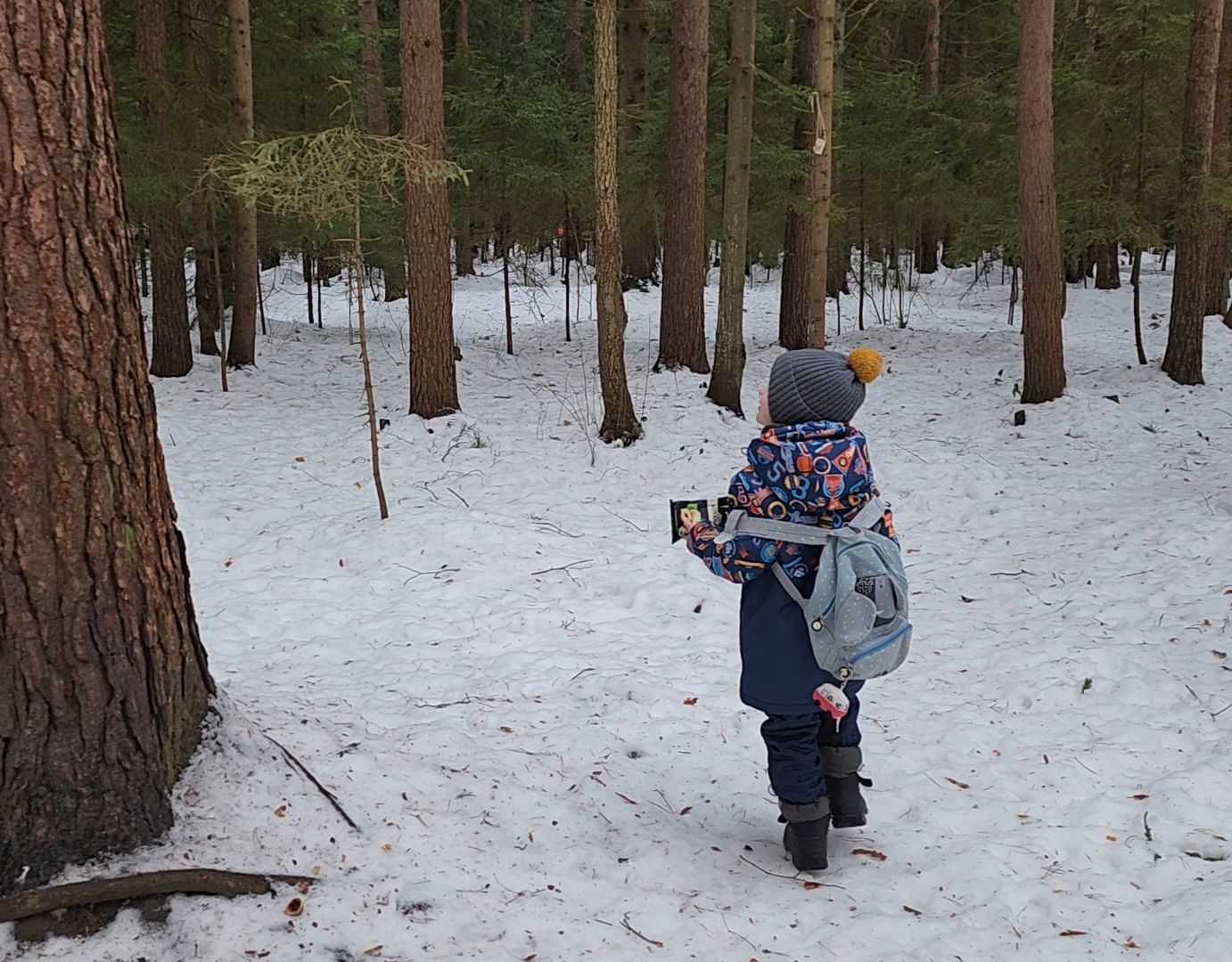 Дубна, Белки, Лес, Кормление белок, Досуг,