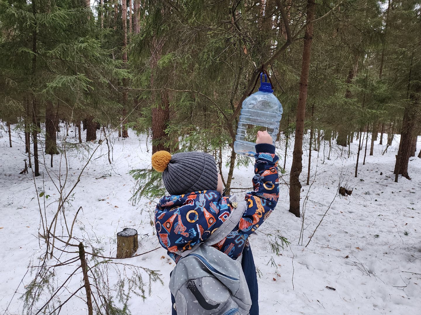 Дубна, Белки, Лес, Кормление белок, Досуг,