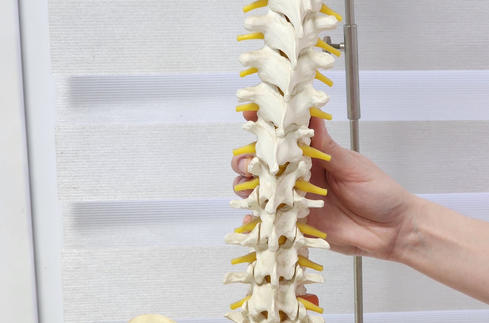 солнечногорск, вертикалки, медицина, нейрохирургия,