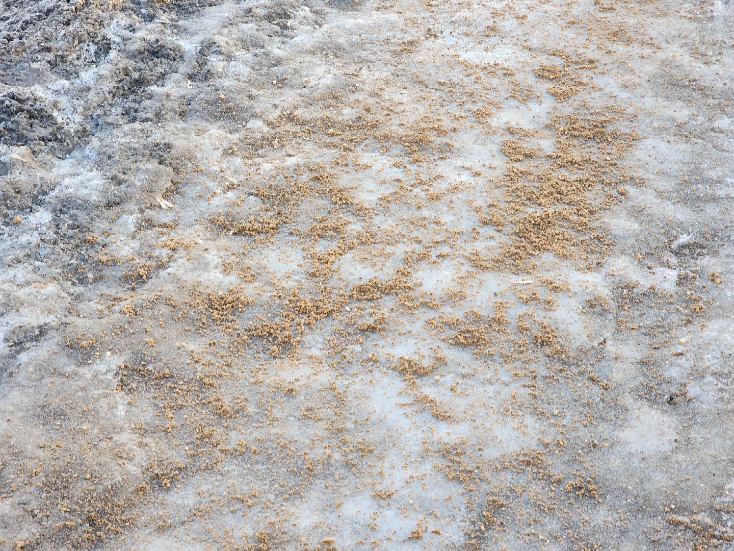 ногинск, жители, общество, жкх, обработка от льда, коммунальная служба, вертикалки,