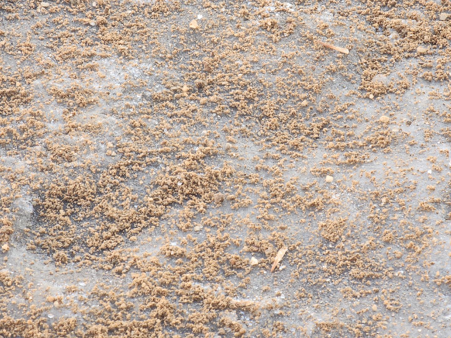 ногинск, жители, общество, жкх, обработка от льда, коммунальная служба, вертикалки,