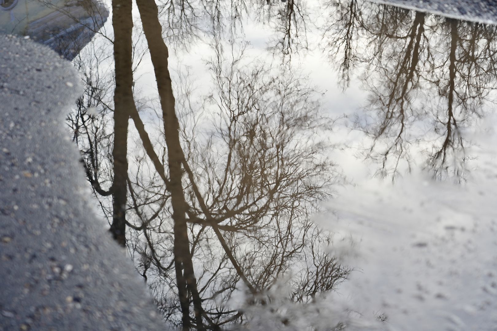погода, сергиев посад, сергиево-посадский городской округ, январь, прогноз погоды, выходные, зима,