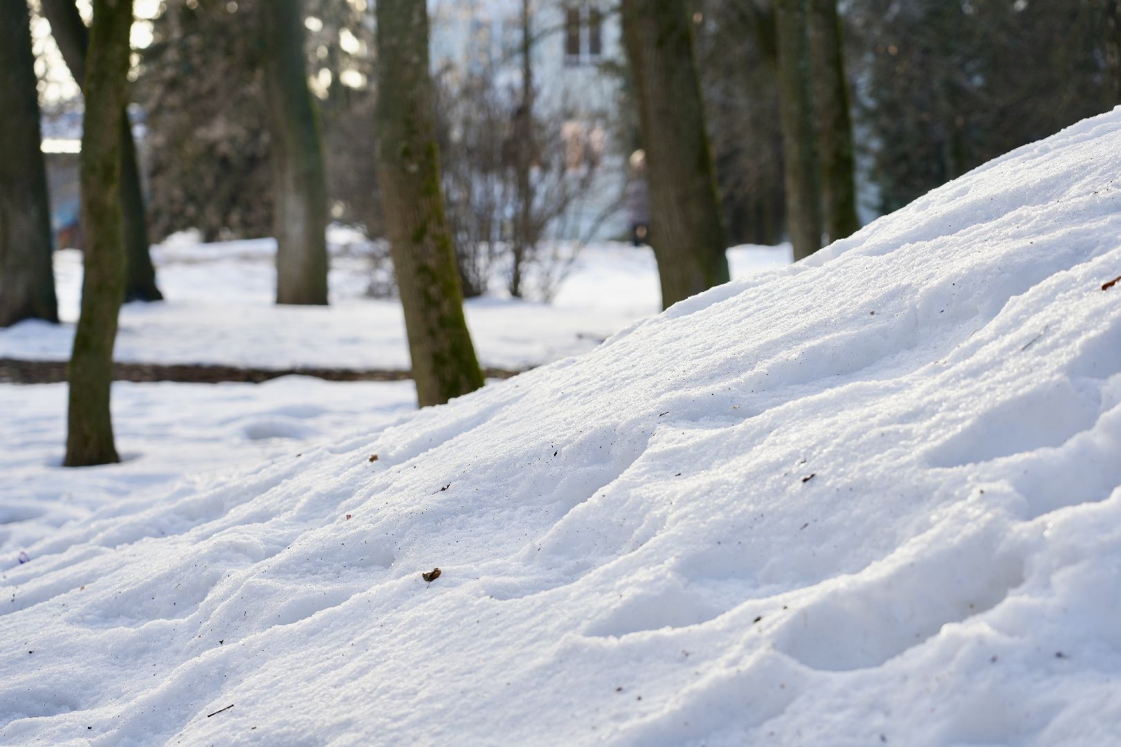 погода, сергиев посад, сергиево-посадский городской округ, январь, прогноз погоды, выходные, зима,
