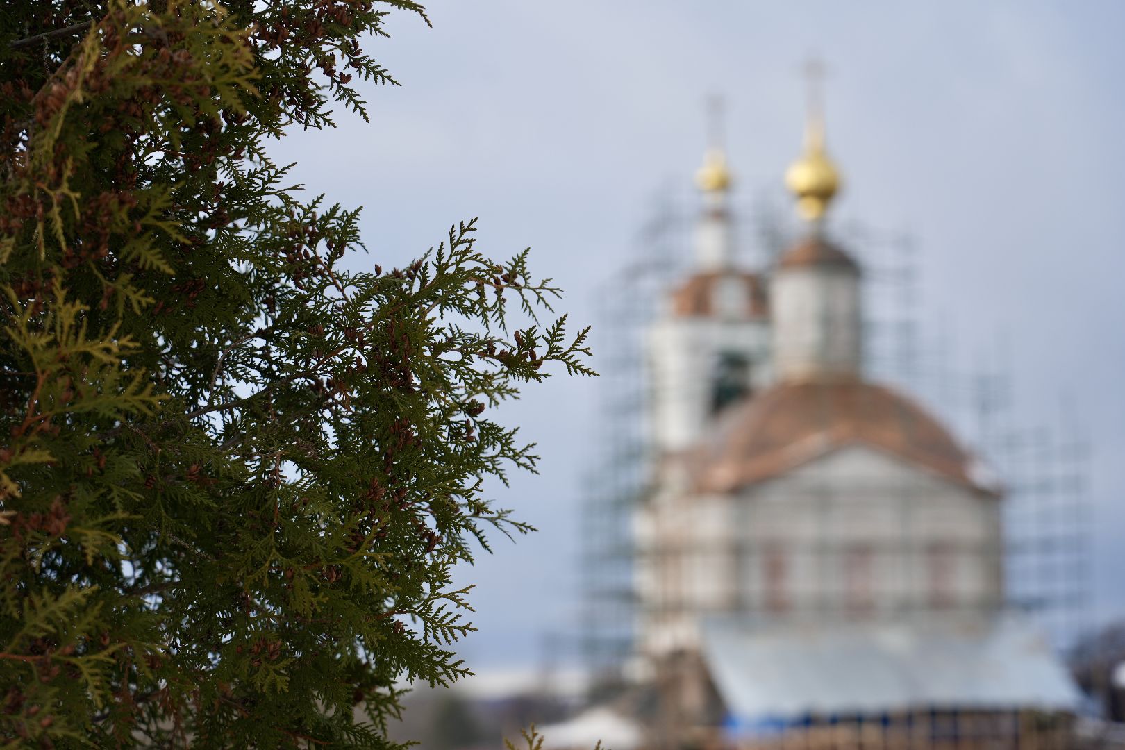 погода, сергиев посад, сергиево-посадский городской округ, январь, прогноз погоды, выходные, зима,