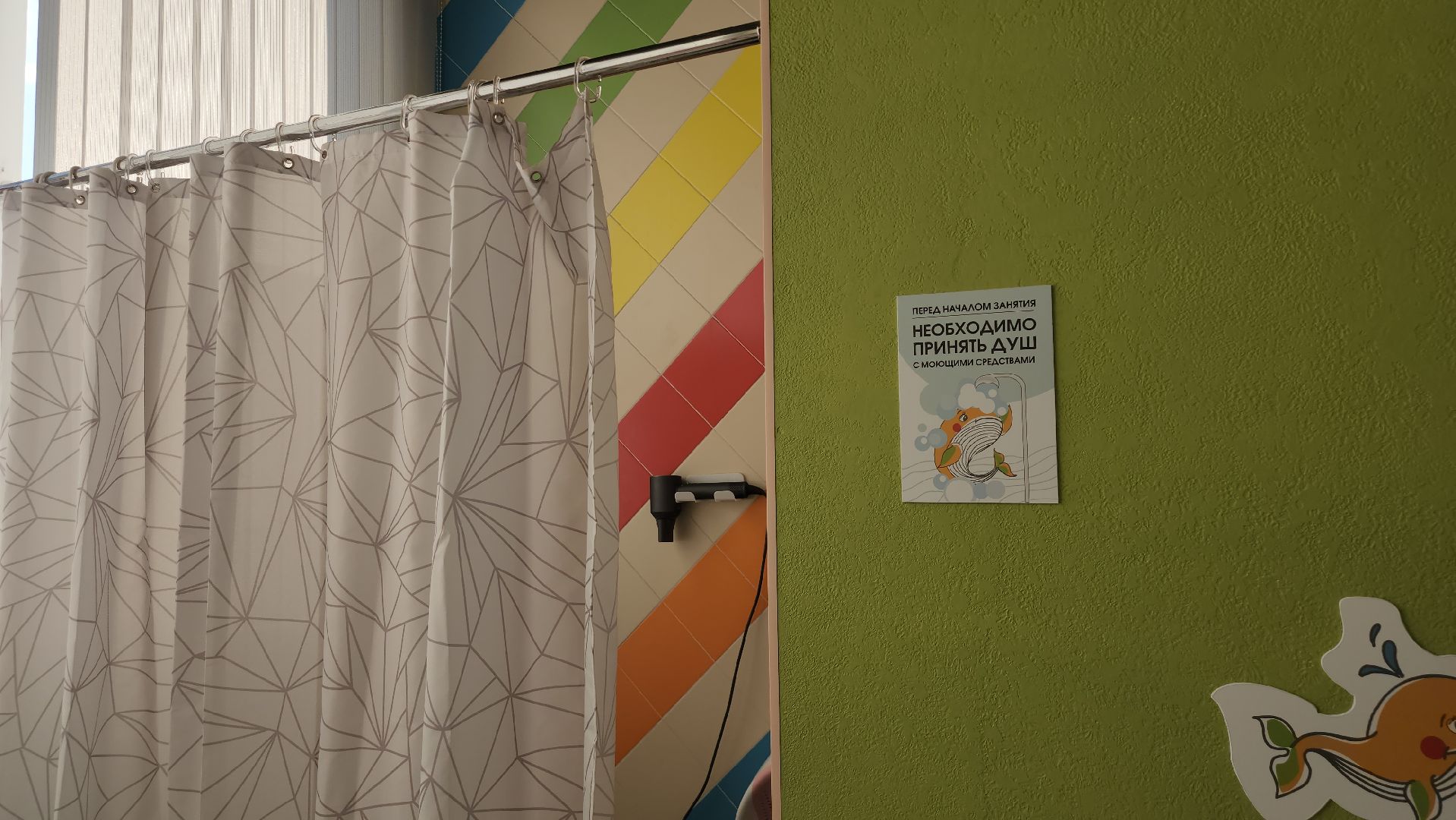 котельники, предприниматели, субсидии, бассейн,