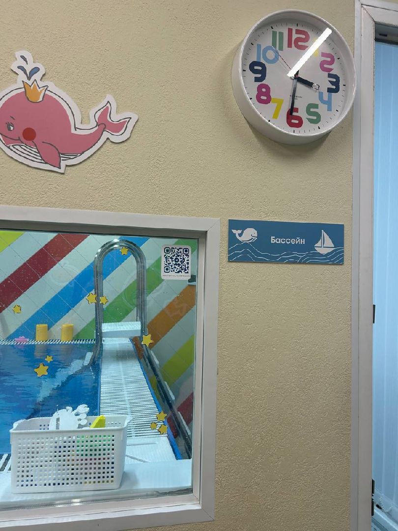 котельники, предприниматели, субсидии, бассейн,