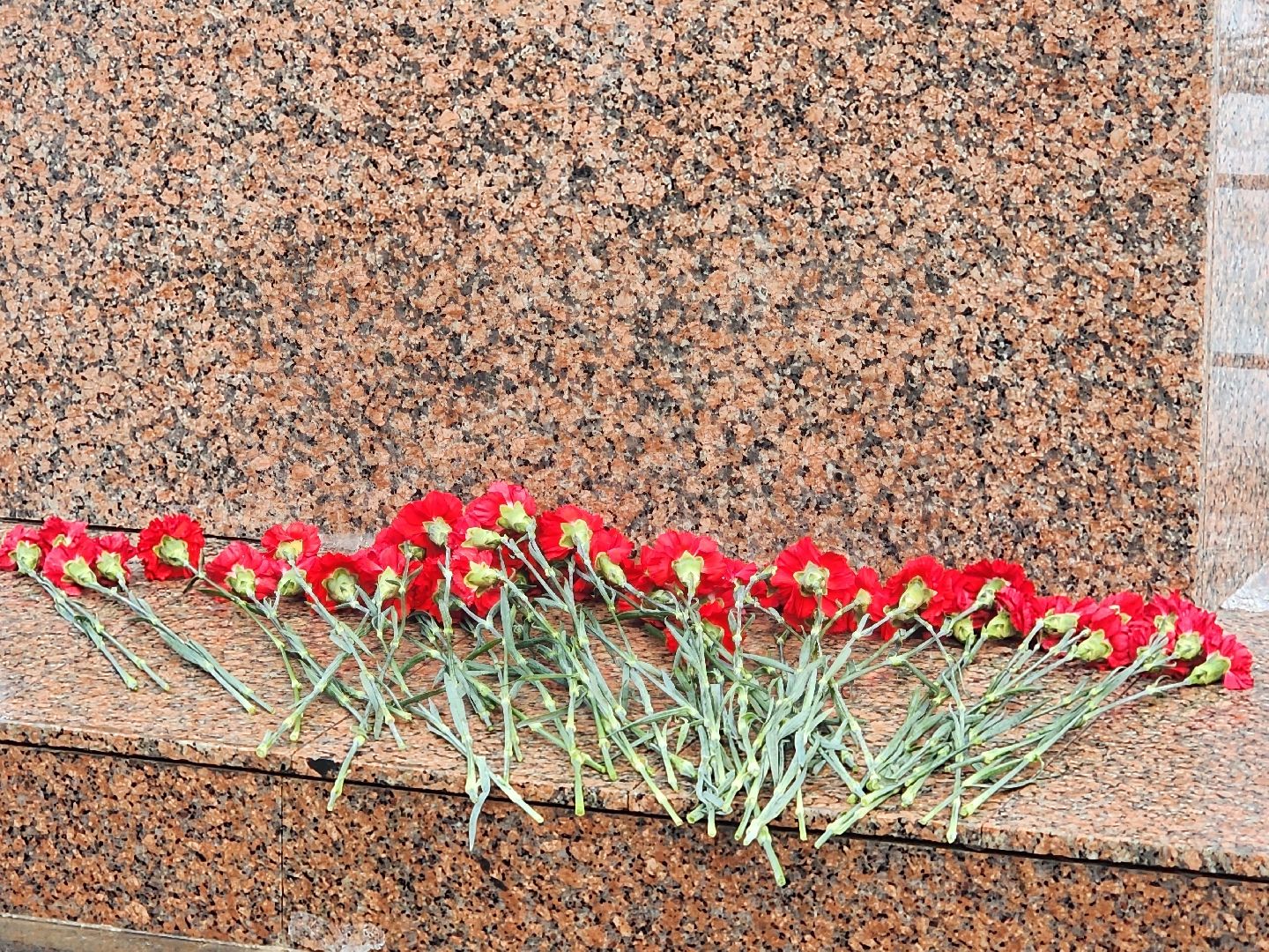 вертикалки, королёв,