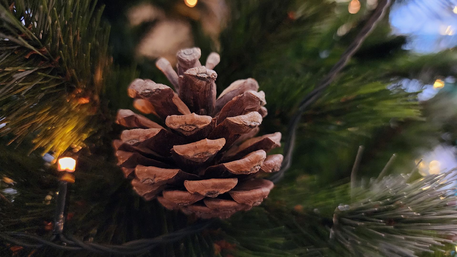 нутрициология, советы нутрициолога, здоровое питание, Ногинск, Богородский городской округ,