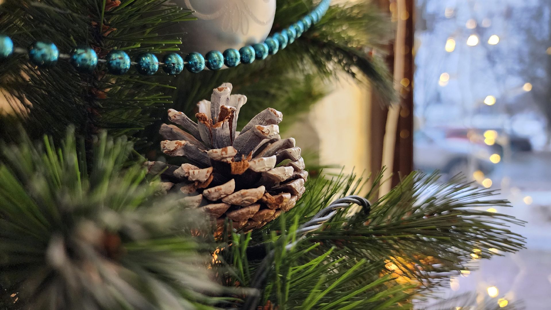 нутрициология, советы нутрициолога, здоровое питание, Ногинск, Богородский городской округ,