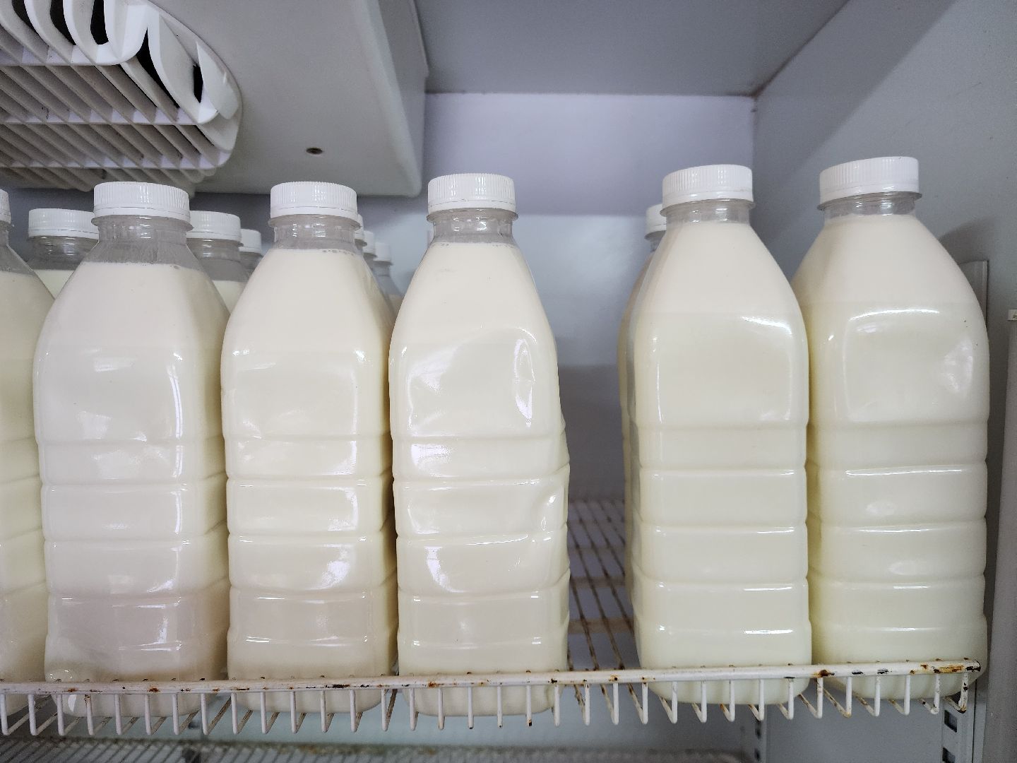 жители, общество, сыроварня, ферма, казачий хутор, семейное производство,