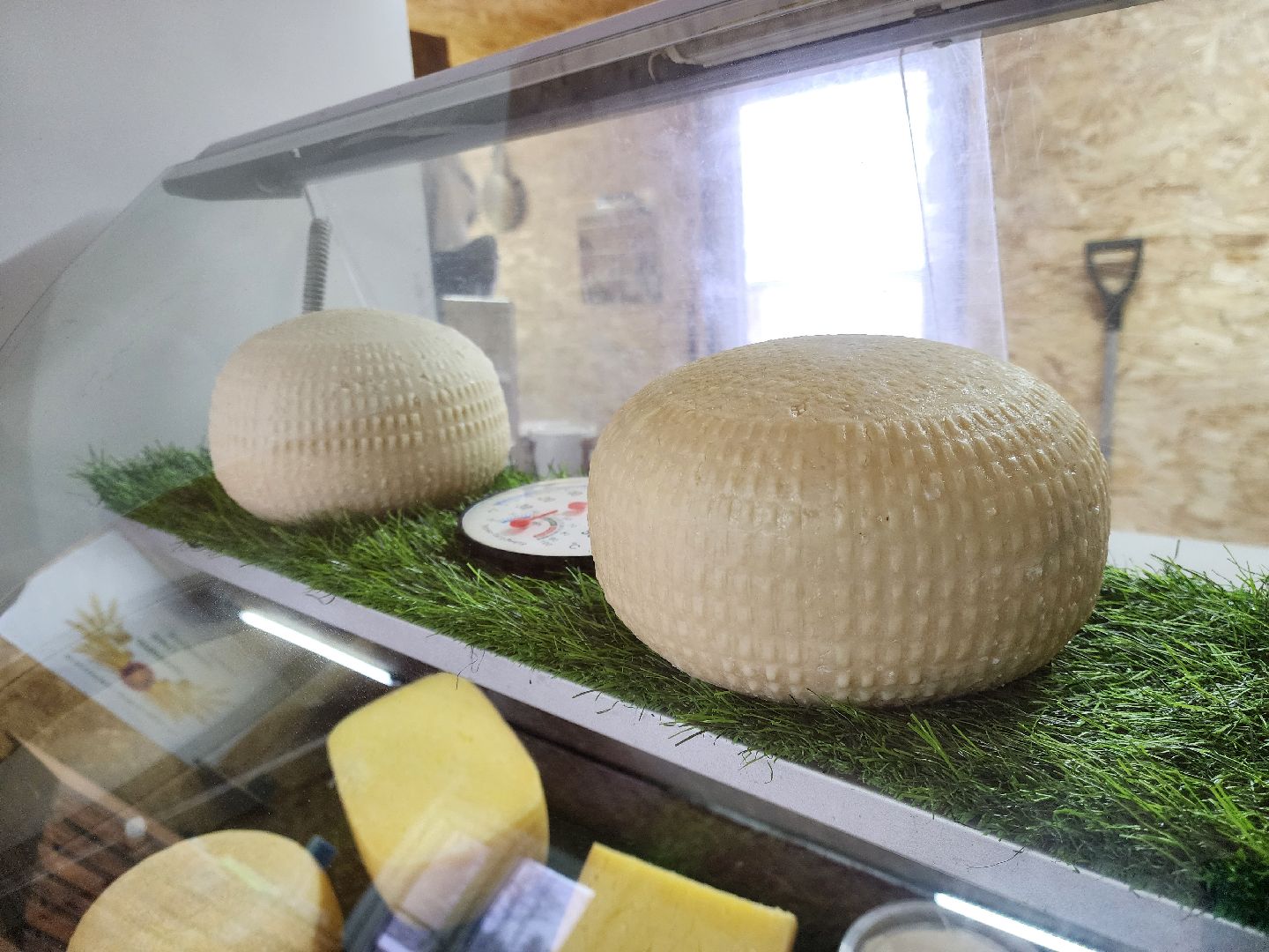 жители, общество, сыроварня, ферма, казачий хутор, семейное производство,