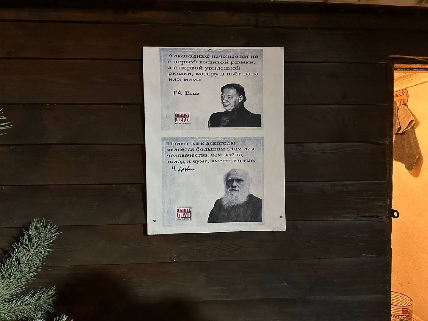 крещенские купания, купель, моржевание,