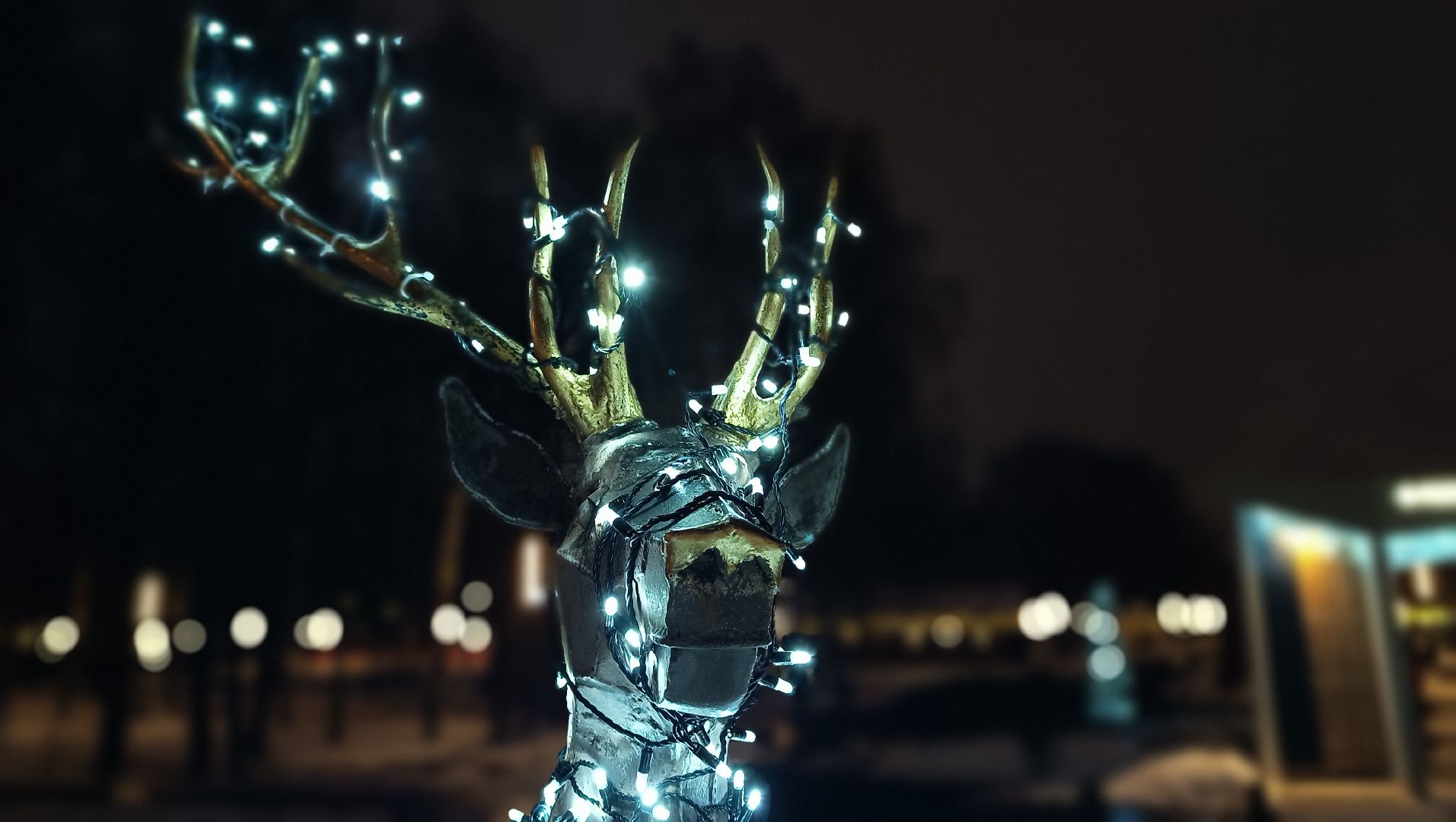 парк, лобня, туризм в подмосковье, зимний отдых, вертикалки,