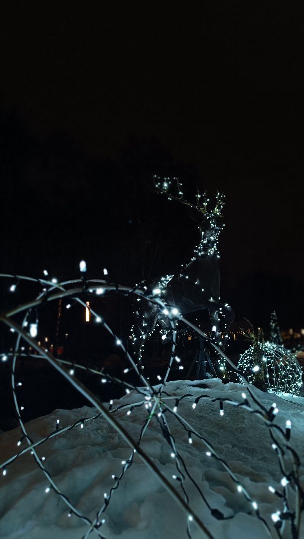 парк, лобня, туризм в подмосковье, зимний отдых, вертикалки,