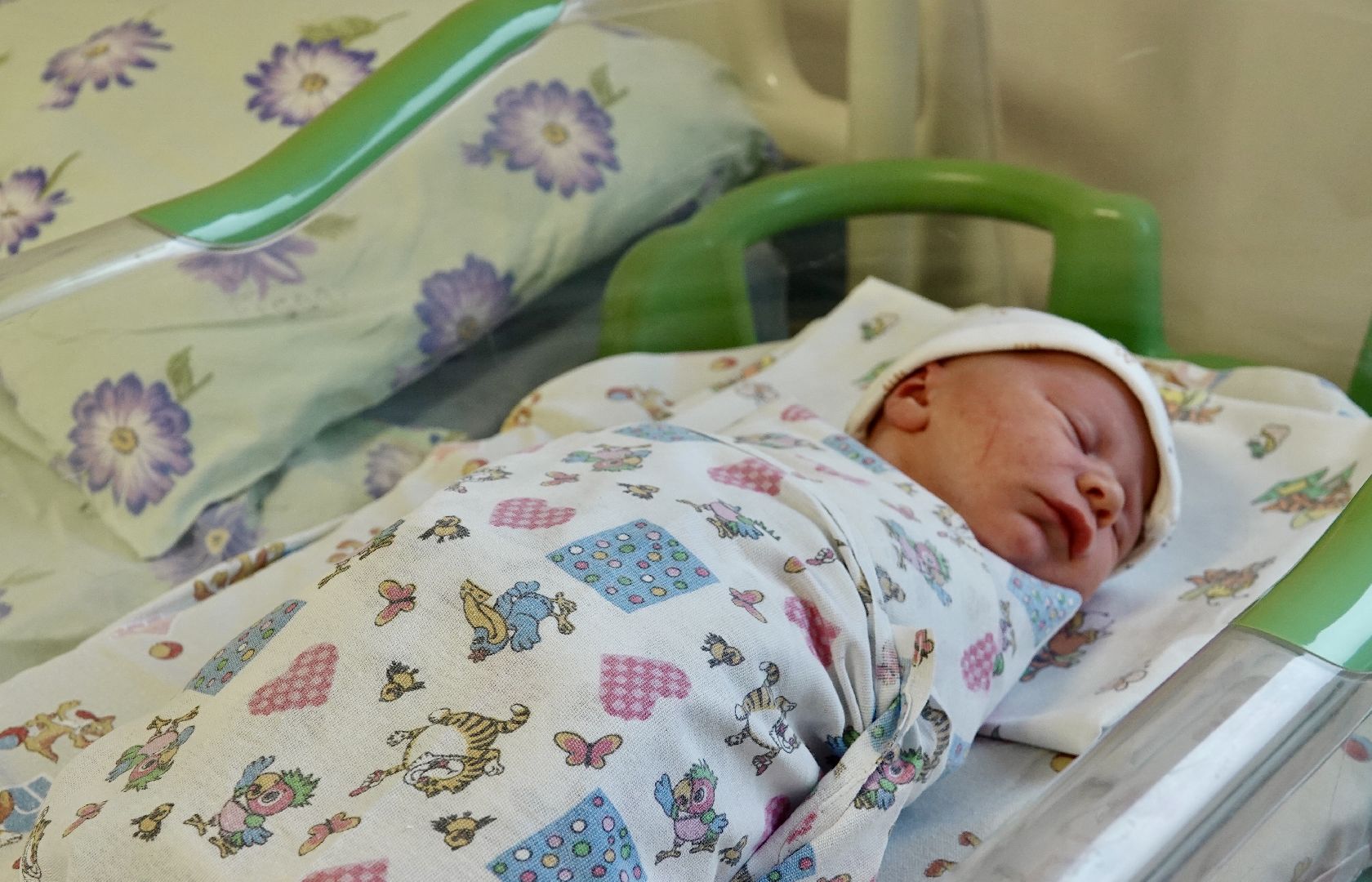 роддом, сергиев посад, сергиево-посадский городской округ, дети, материнство, сергиево-посадский центр материнства и детства,