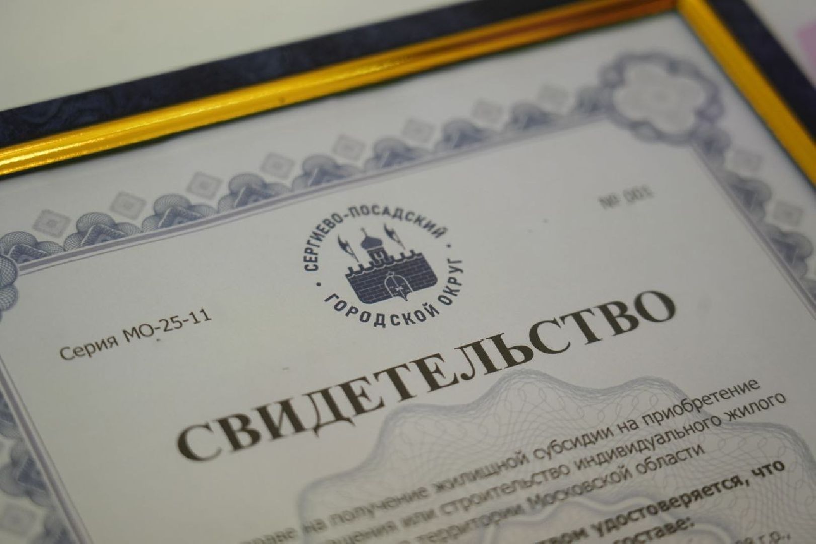 сергиев посад, сергиево-посадский городской округ, многодетные семьи, меры поддержки, жилище, субсидии, региональная программа, государство, дети,