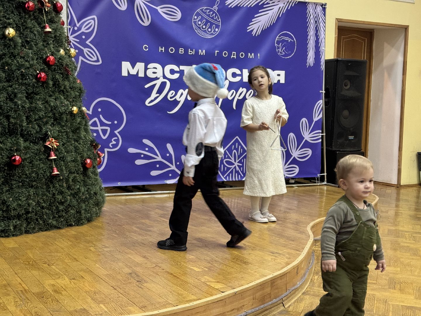 шаховская, фестиваль, святки, рождество, вертикалки,