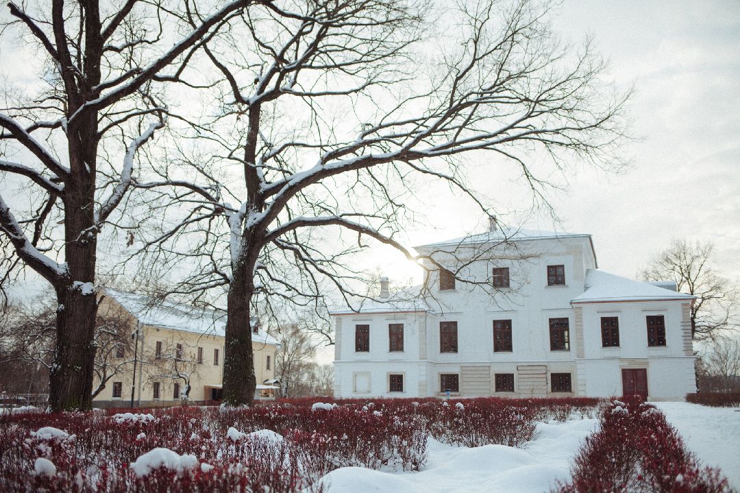 Воскресенск, общество