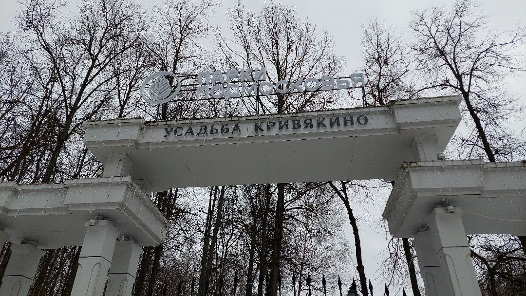 Воскресенск, общество