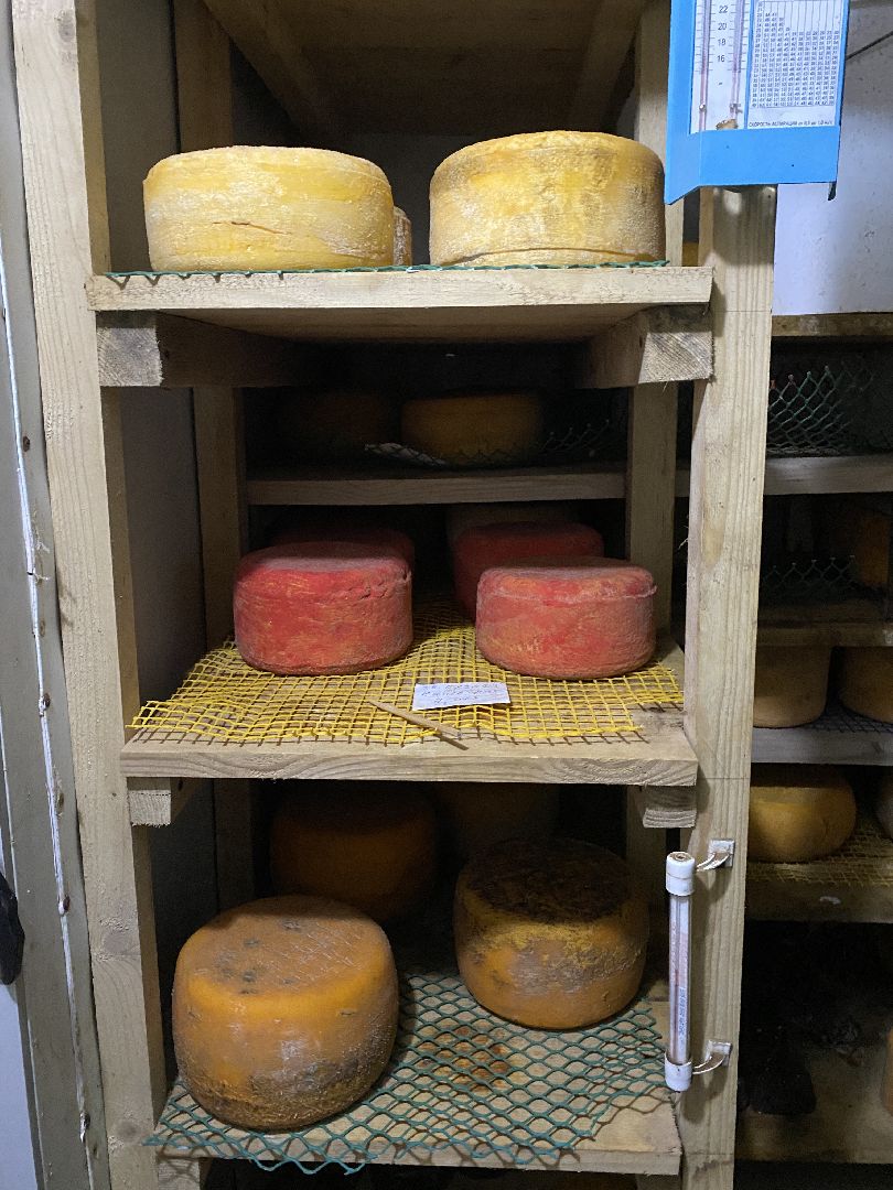 Чехов, ферма, сыр, производство, молочная продукция