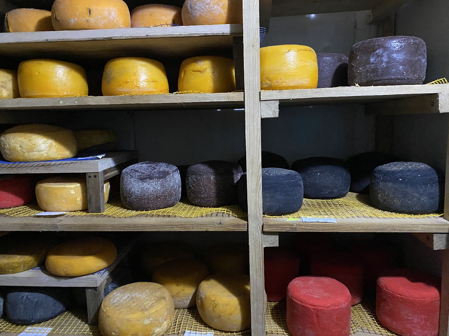 Чехов, ферма, сыр, производство, молочная продукция