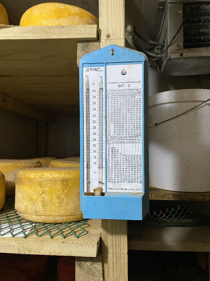 Чехов, ферма, сыр, производство, молочная продукция