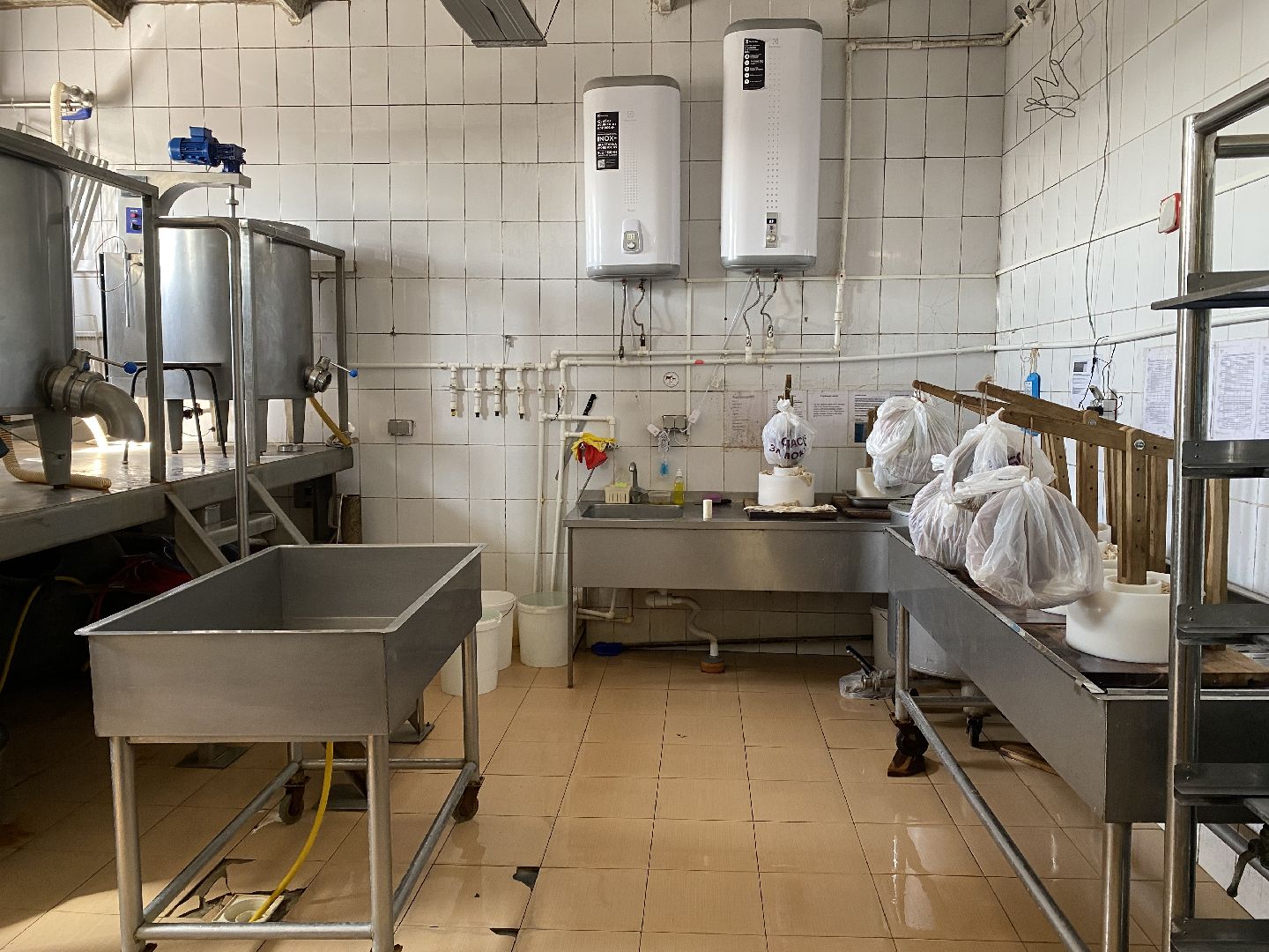 Чехов, ферма, сыр, производство, молочная продукция