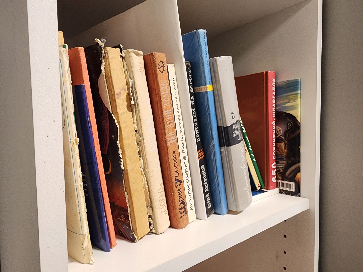 Коломна, буккроссинг, книги, обмен книгами,