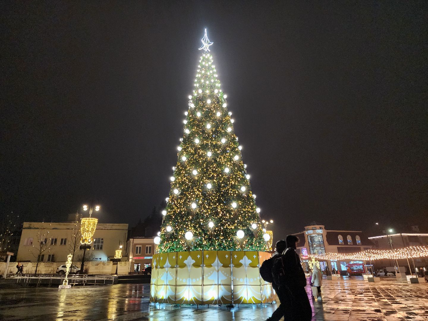 ногинск, голосование, жители, елка, новый год, всероссийский конкурс, общество, вертикалки,